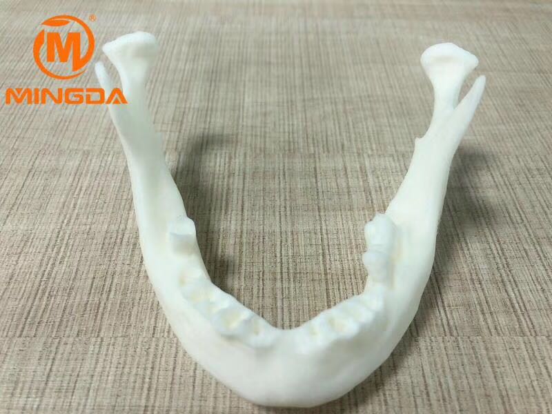 工業(yè)級(jí)3D打印機(jī)在牙科行業(yè)的應(yīng)用(圖2)